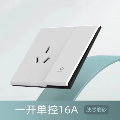 V8肤感磨砂插座